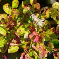 Охрана :: Павел Трунцев