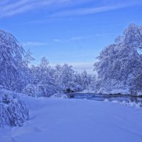 Новогоднее утро---05 :: Владимир Холодный