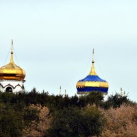 Купола :: Дарья Шуклина