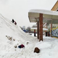 СНЕЖНЫЕ_ДЕТИ_3 :: Сергей Янович Микк