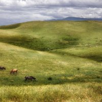 Где-то в горах Казахстана :: Надежда 