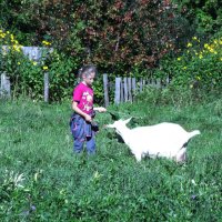 Девочка с козой :: Сергей Кочнев