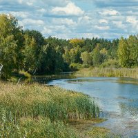 Река Алеус :: Дмитрий Конев
