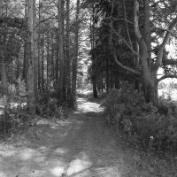 Фотография :: Денис Безногов