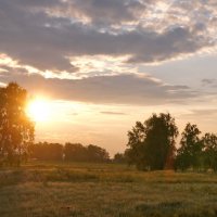 В предзакатном свете. :: сергей ермошкин