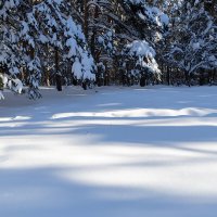 Зимняя природа :: Александр Синдерёв