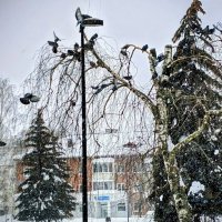 Зимний город. :: Михаил Столяров