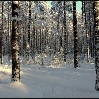 *** :: Aleksandr Gal