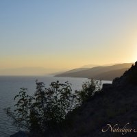 Природа Крыма :: Amazing Cosmea