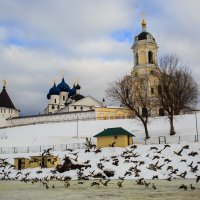 Прилетели :: Владимир Гришин