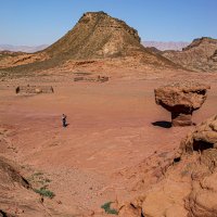 Кадр с грибом :: Eugene *