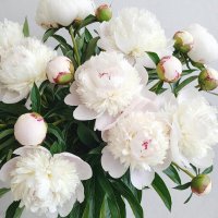 **** :: МАРИЯ ПОПОВА