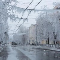 После ледяного дождя :: Irene Irene