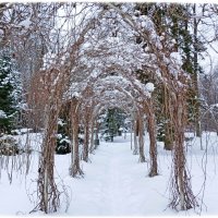 Добро пожаловать снова в зиму! :: Лия ☼