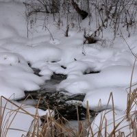 *** :: Александр Николаев