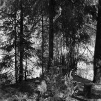 Фотография :: Денис Безногов