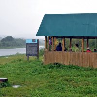 Дождь идёт с утра. :: ВикТор Быстров