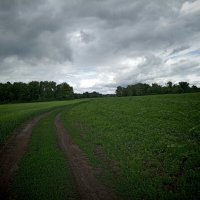 Хмурый день :: Надежда 