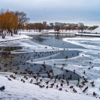 Царицыно :: IRinA*** 