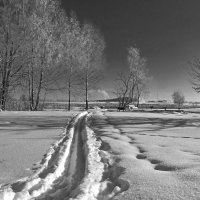 Б/Н :: Николай Б/Н :: Николай