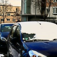 Южная зима - 31 :: Алексей Кузнецов