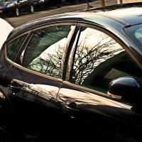 Южная зима - 34 :: Алексей Кузнецов