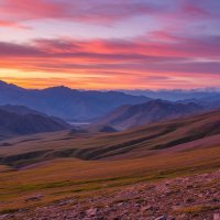 *** :: Ольга *** :: Ольга