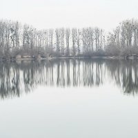 Унылый январь :: Алла Булашевская