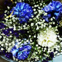 Нежный букет с гиацинтами :: Aida10 