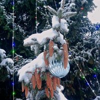 Шашки :: Сергей Кочнев