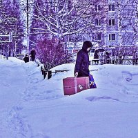 Февраль..Среди сугробов- с покупкой! :: Владимир 