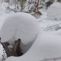 Неведомая зверюшка :: Любовь Сахарова Неведомая зверюшка :: Любовь Сахарова