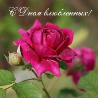 С Праздником! :: Галина Нестратова С Праздником! :: Галина Нестратова