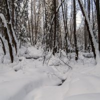 Ручей под снегом :: Сергей Цветков