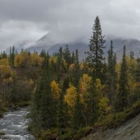Заполярная осень........ :: Юрий Цыплятников Заполярная осень........ :: Юрий Цыплятников