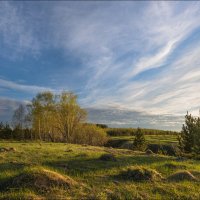 Лес Грязной :: **** vedin