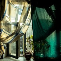 * :: Сергей Полянский