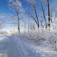 б/н :: Николай б/н :: Николай