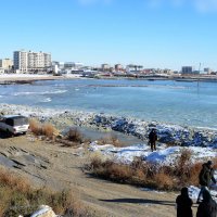 Берег Каспия :: Анатолий Чикчирный