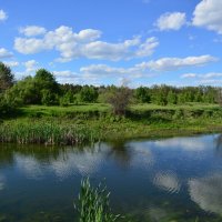 Донские виды. :: Виктор 