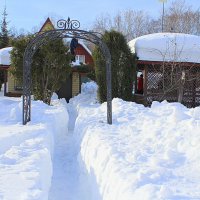 Тропинка зимне-дачная :: Татьяна Лютаева