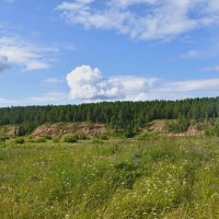 Зелень ангарского лета :: Сергей Шаврин Зелень ангарского лета :: Сергей Шаврин