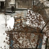 Оттепель... :: Татьяна Юрасова