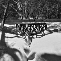 Светотеневая фотографика (2) :: Николай Кондаков