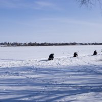 *** :: Елена Агеева *** :: Елена Агеева