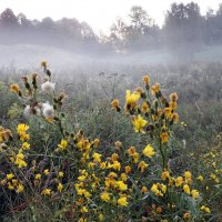 Царицыно 7 сентября :: Михаил Бибичков