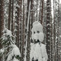 мультяшный герой :: Galina мультяшный герой :: Galina