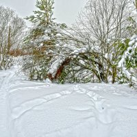 Сказка природа :: סּﮗRuslan HAIBIKE Sevastyanovסּﮗסּ