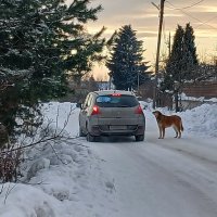 Зимний вечер в деревне :: Наталья Герасимова