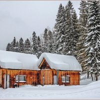 Снежный февраль... :: Aquarius - Сергей Снежный февраль... :: Aquarius - Сергей